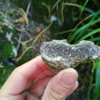 Description d'affleurement géologique