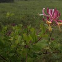 Etude réglementaire à Payrac (46)