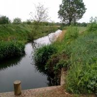 Suivi de biodiversité à Lansargues (34)
