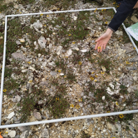 Etude naturaliste sur le tertre de Moncalou (24)